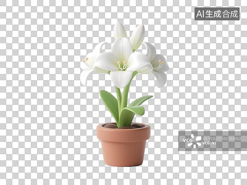 【AI数字艺术】白色朱顶红盆栽图片素材