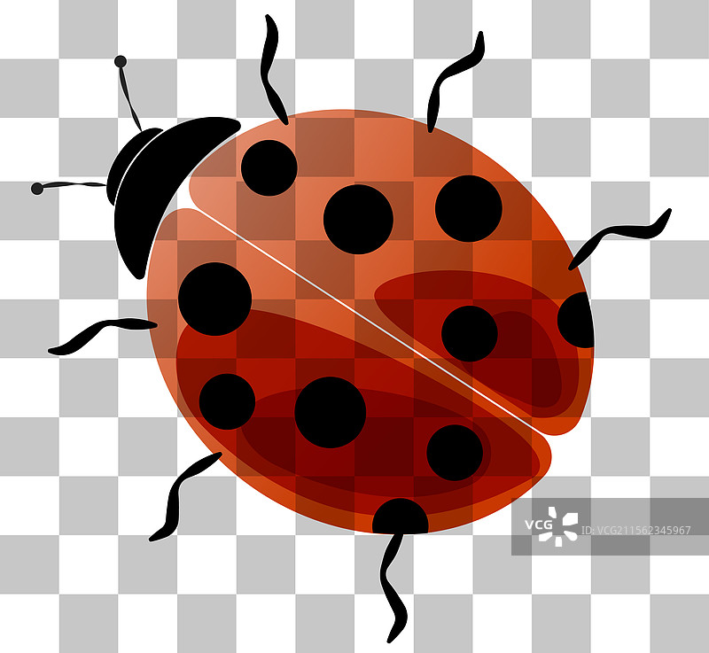 明亮的红色瓢虫在透明背景上图片素材