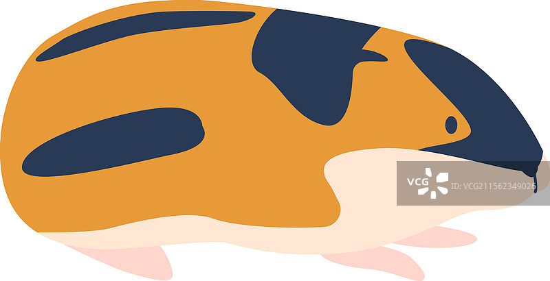 北极旅鼠啮齿动物图片素材