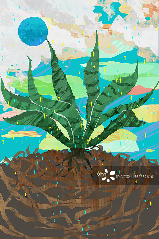 一株芦荟插画背景图片素材