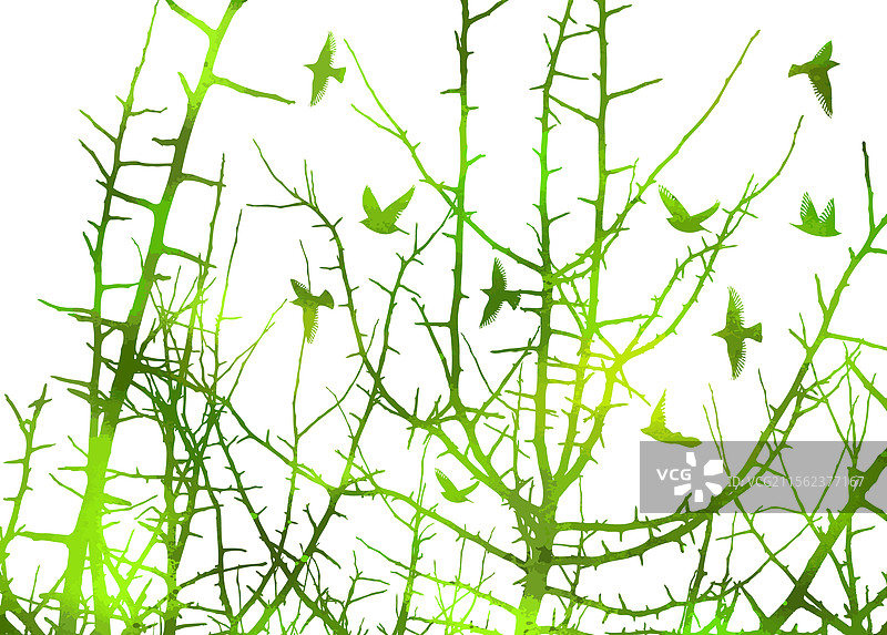 手绘的树木与飞翔的鸟类图片素材