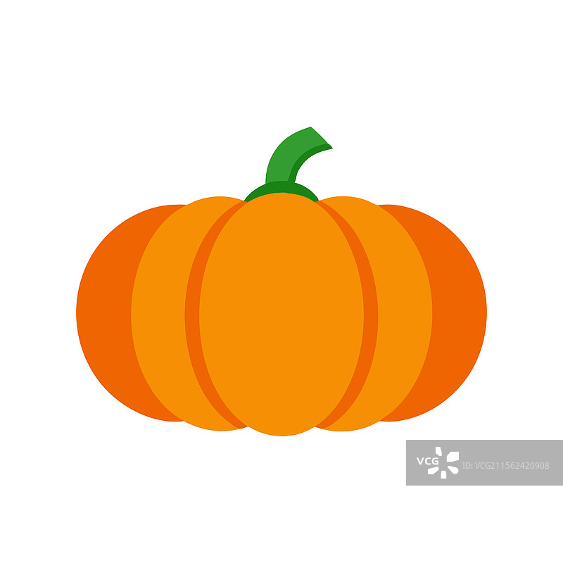 橙色南瓜用于万圣节和感恩节图片素材