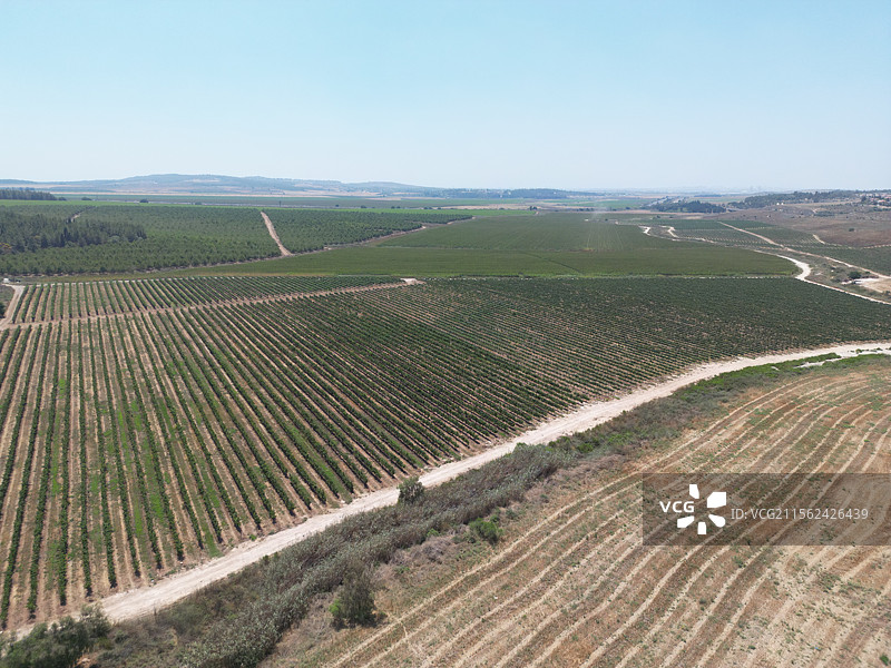 清澈天空下的农业田野美景图片素材