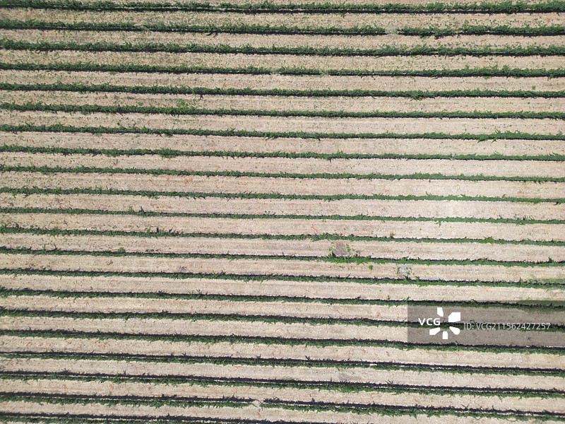 全景拍摄的田野图片素材