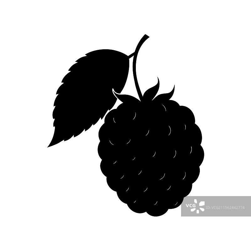 桑树剪影艺术与黑白色调图片素材