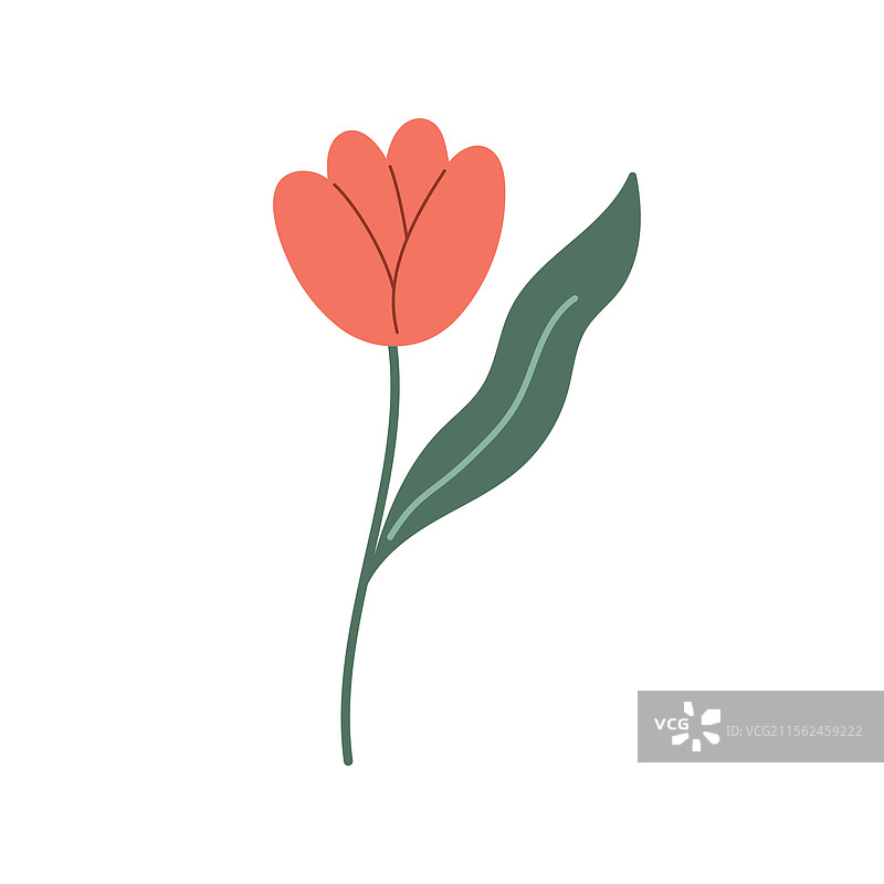 红色郁金香花的涂鸦风格红色罂粟花图片素材