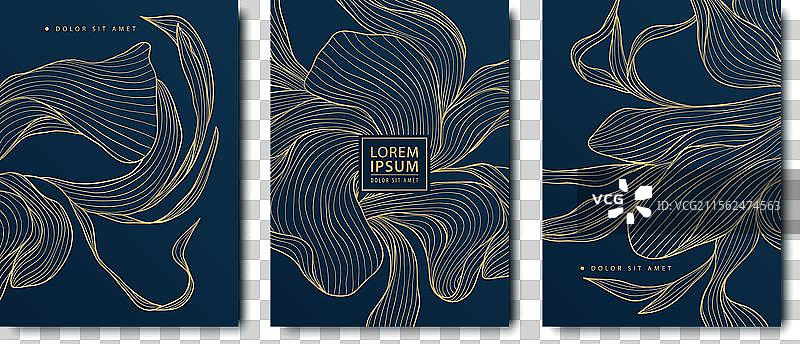 婚礼花卉卡片背景集图片素材