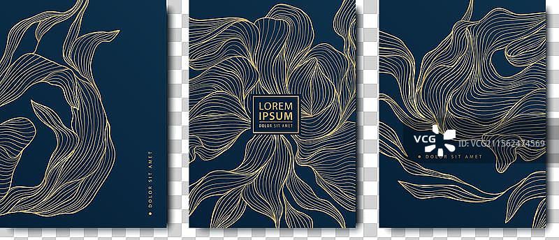 婚礼花卉卡片背景集图片素材