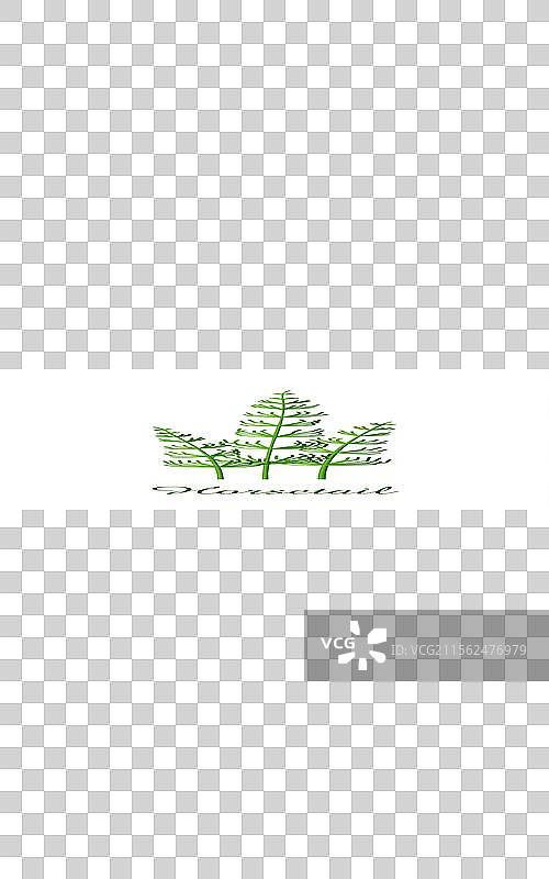 马尾草植物、绿色草坪、草药和植物图片素材