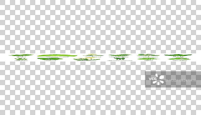 一组绿色食品草药和植物图片素材