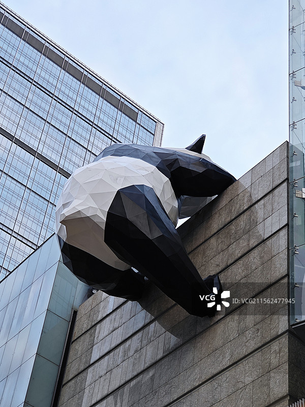 城市的现代建筑与雕塑，成都IFS国际金融中心的爬墙熊猫背面图片素材