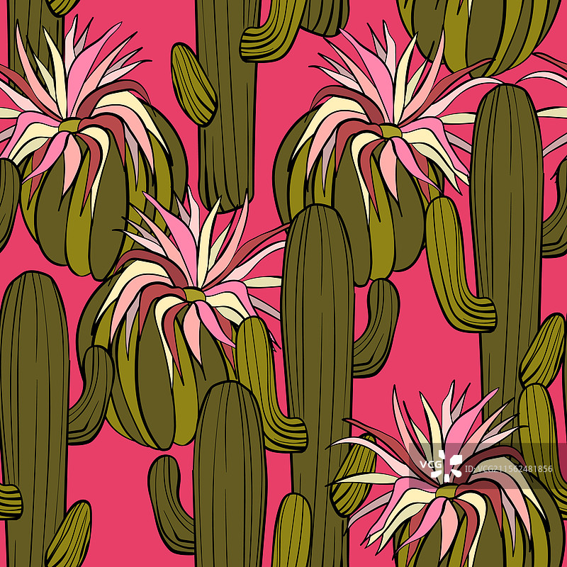 无缝图案，盛开的多肉植物仙人掌图片素材