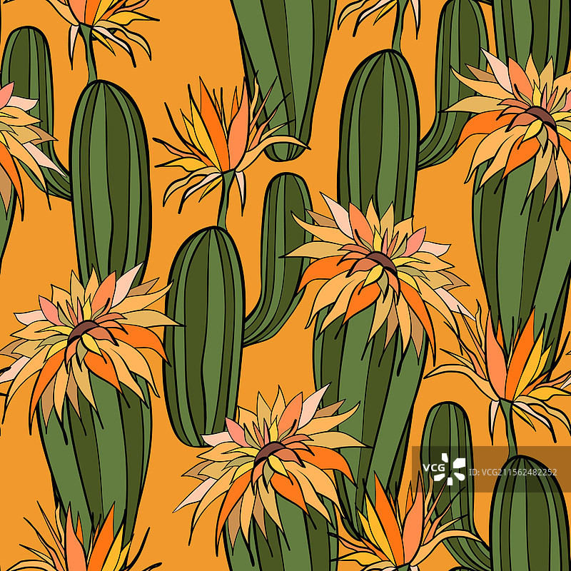 无缝图案，盛开的多肉植物仙人掌图片素材