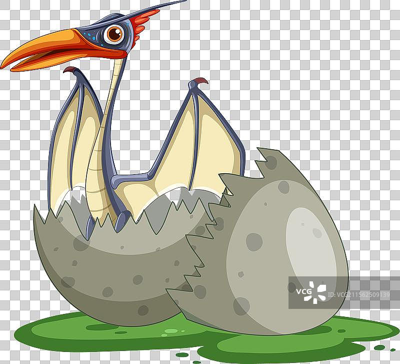 一只小恐龙从蛋壳中孵化出来图片素材