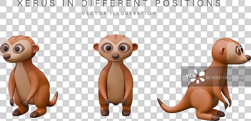 小型3D狐獴从不同角度的视图图片素材
