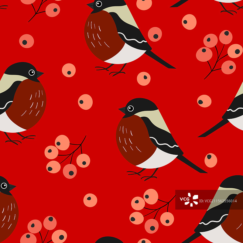 有趣的彩色红腹灰雀无缝图案图片素材