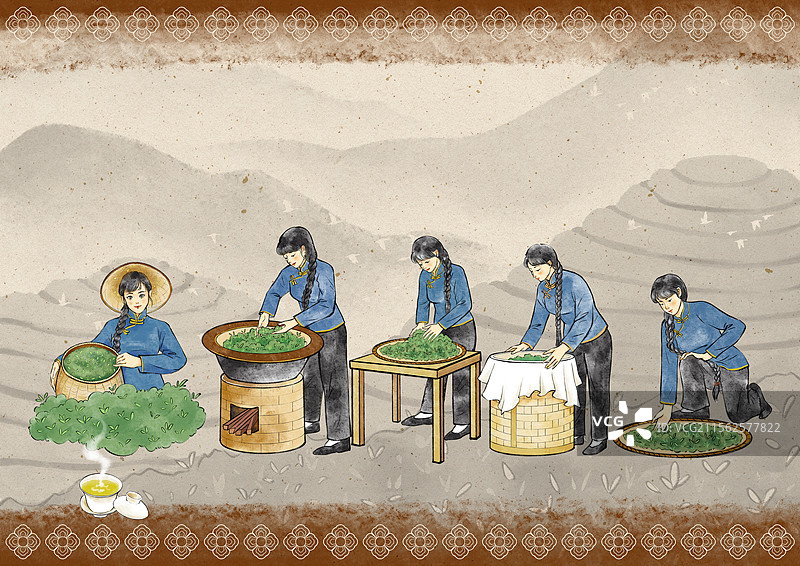 各种茶叶制作过程手绘插画，绿茶制作过程。图片素材