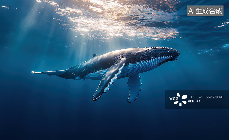 【AI数字艺术】深海鲸鱼光影之美图片素材