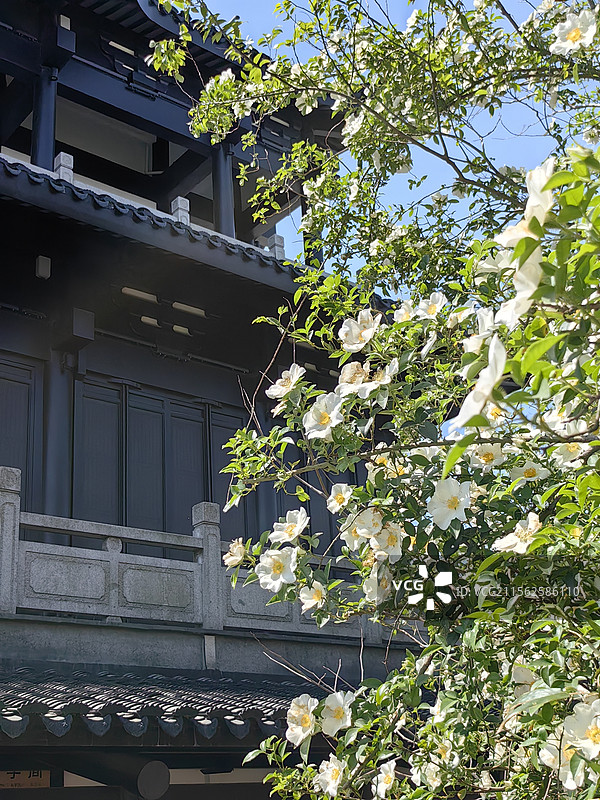 渔洋山随记图片素材