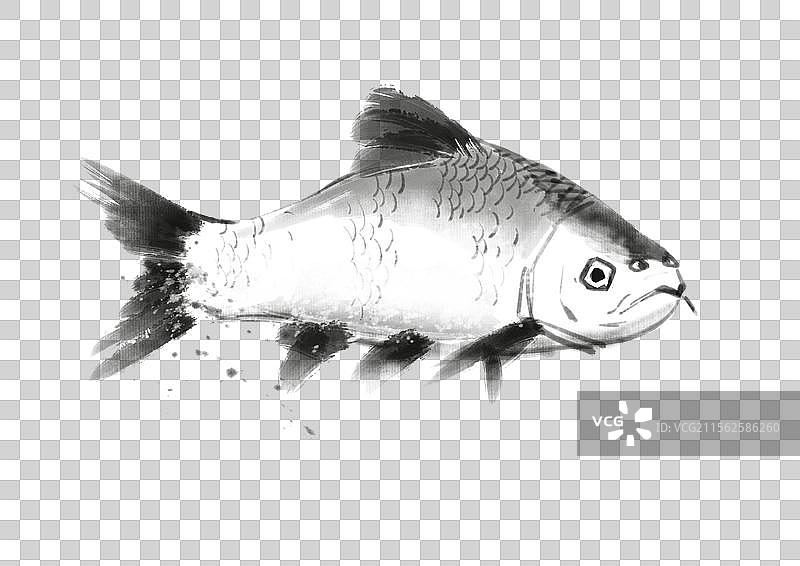 白甲鱼国风水墨元素图片素材