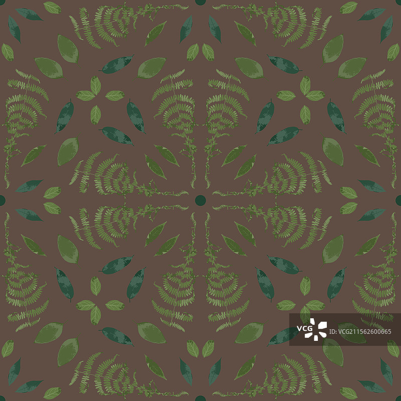 干燥的绿色蕨类植物叶子的无缝图案图片素材