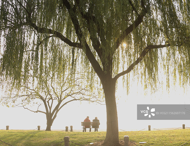 西湖晨光中相伴图片素材