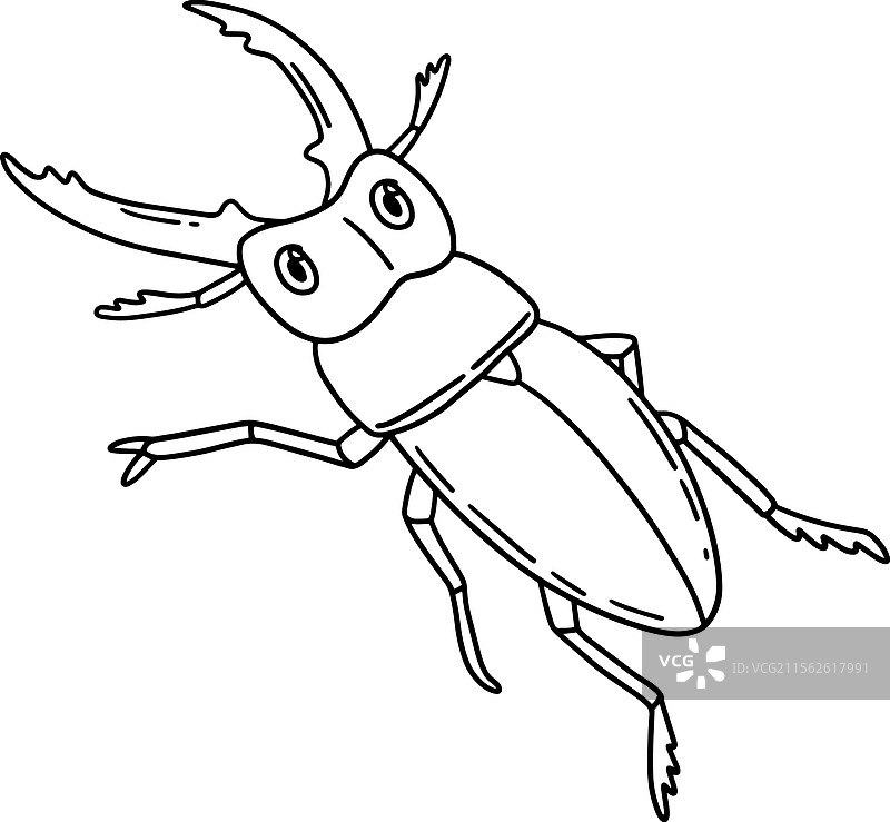 独角仙动物孤立的涂色页图片素材