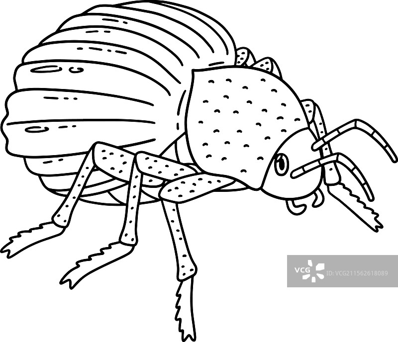 昆虫托克托基动物孤立着的涂色页图片素材