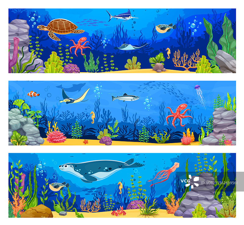 水下风景横幅，海洋动物和鱼类图片素材