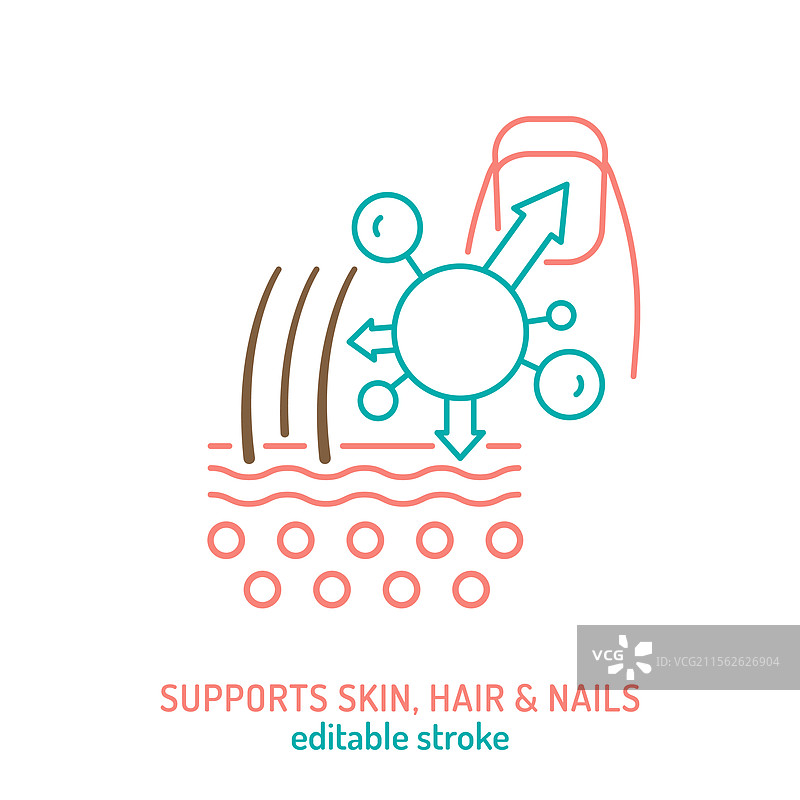 指甲、皮肤和头发的胶原蛋白线条图标图片素材