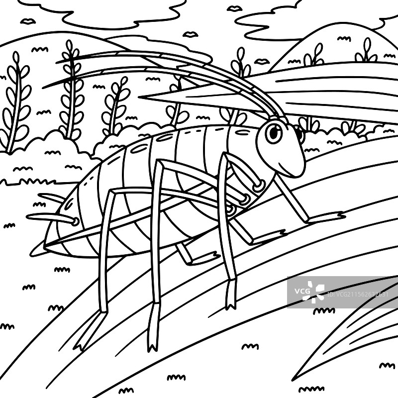 昆虫蚜虫动物涂色页，适合儿童使用图片素材