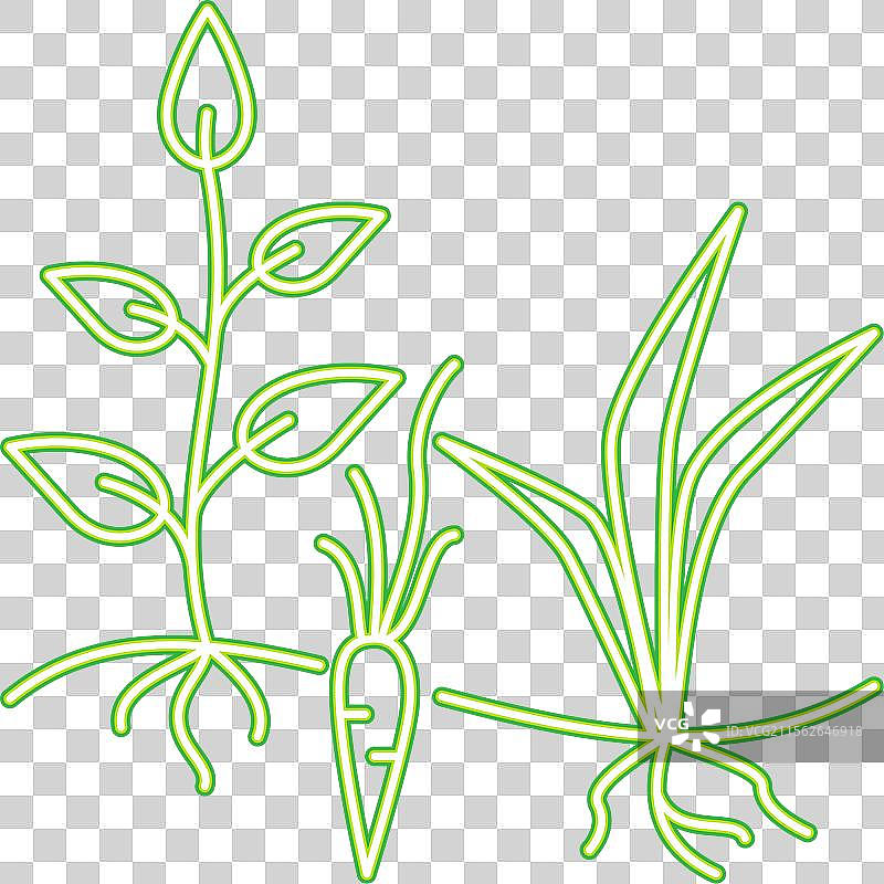 植物多样性霓虹线条图标图片素材