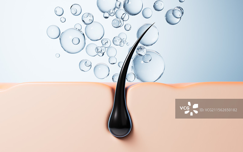 黑色毛发头发与皮肤三维渲染图片素材