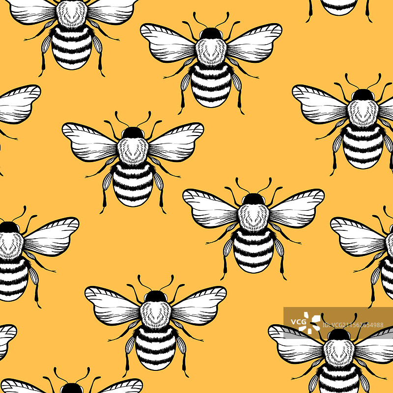 带有蜜蜂的无缝图案，背景为彩色图片素材