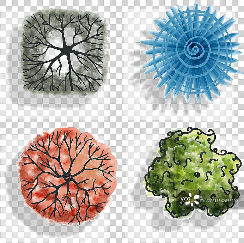 彩色树木图标用于设计3图片素材