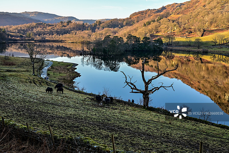 晴天的高山草地湖泊图片素材