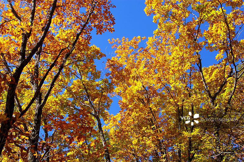 吉林拉法山国家森林公园图片素材