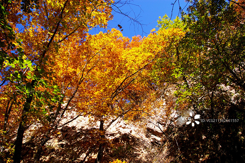 吉林拉法山国家森林公园图片素材