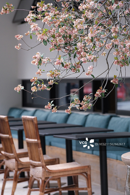 上海前滩悠闲餐厅咖啡馆街景图片素材