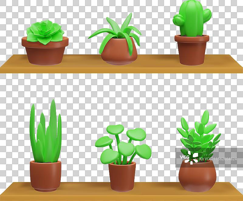 棕色花盆中的绿色多肉植物图片素材