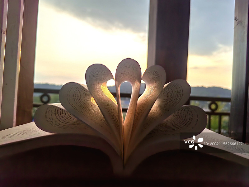 书页绽光，日暮诗意藏心间书页折成花朵状，于夕阳余晖中绽放，映出一室诗意图片素材