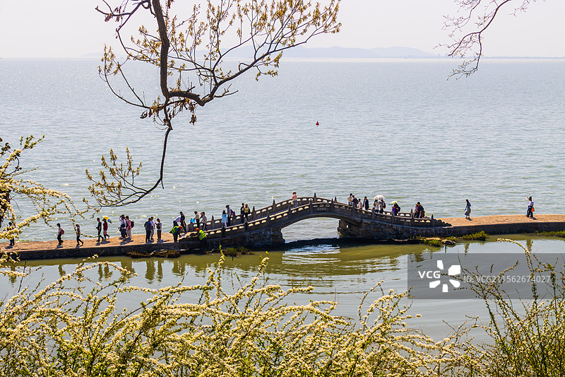 鼋头渚万浪桥风光图片素材