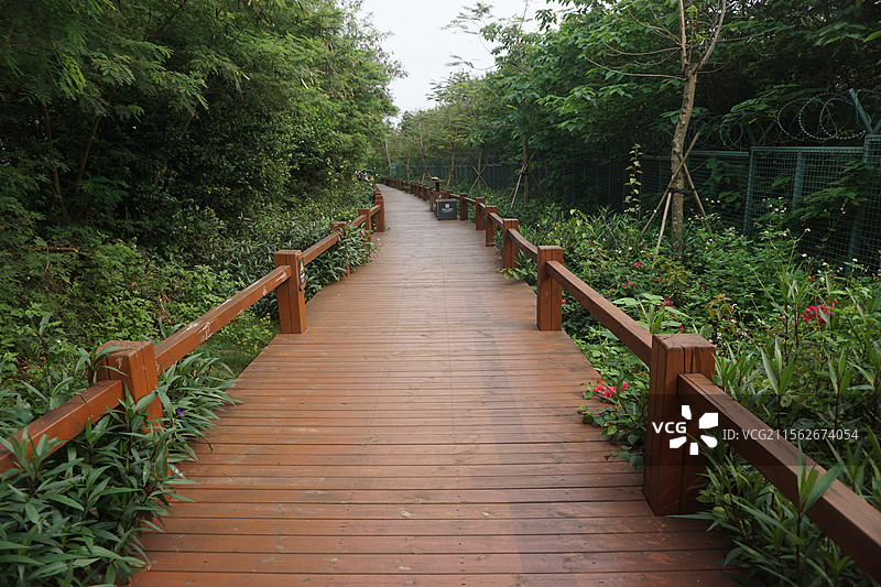 人行步道，宁静致远图片素材