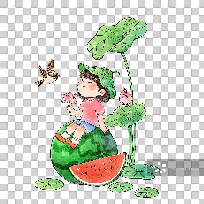 夏季荷花小鸟小女孩西瓜插画图片素材