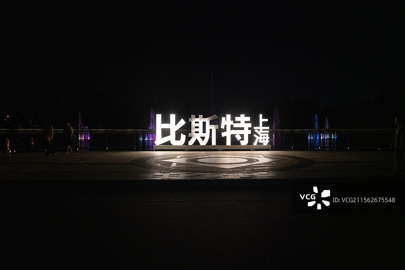 夜晚的上海比斯特图片素材