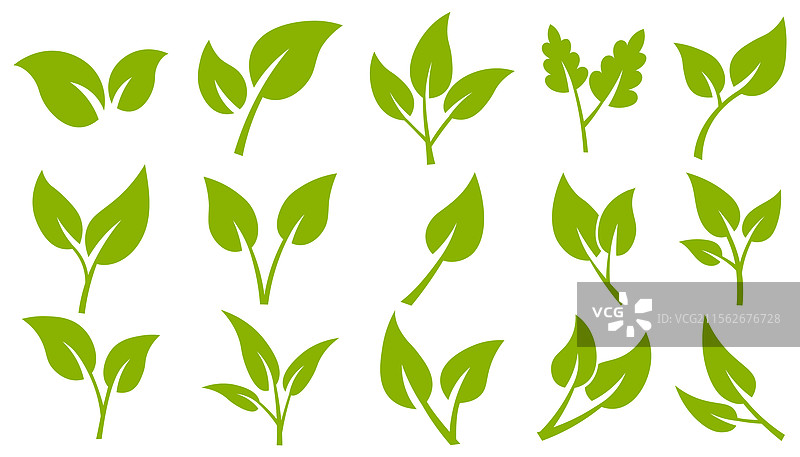 绿色叶子图标集图片素材