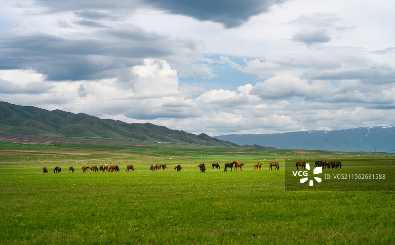 新疆白杨市巴依木扎风光图片素材
