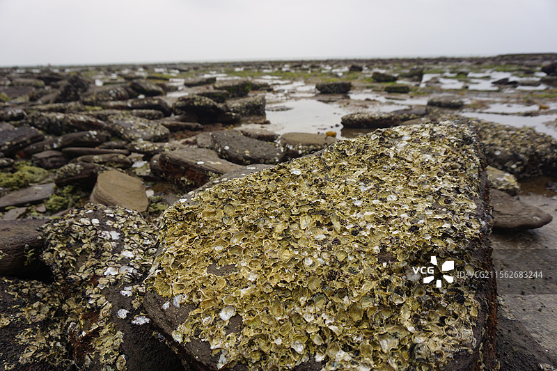 海滩上岩石图片素材