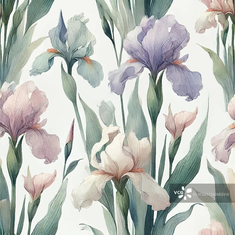 水彩鸢尾花印刷设计图片素材