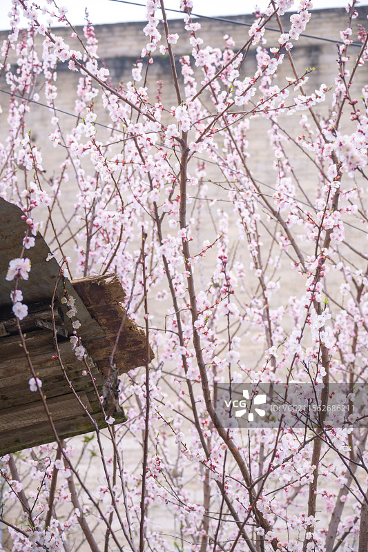 黔东南岑巩县图片素材